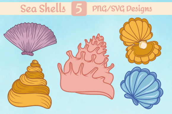 Shell Magic Set Embroidery Review